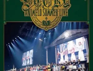 漫音夏日祭 Animelo Summer Live 2019 -STORY- 日本演唱会BD 6BD 246GB 百度网盘资源-小文资源网