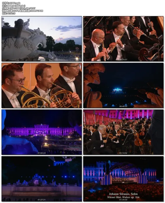 [BD欧美演唱会]维也纳爱乐乐团 Andris Nelsons & Wiener Philharmoniker – Sommernachtskonzert 2022 Summer Night Concert 2022[BDISO][21GB][百度网盘]