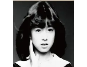 2022 中森明菜 Hajimemashite 欧美演唱会 BD 高清资源 2BD 34.6GB 百度网盘分享-小文资源网