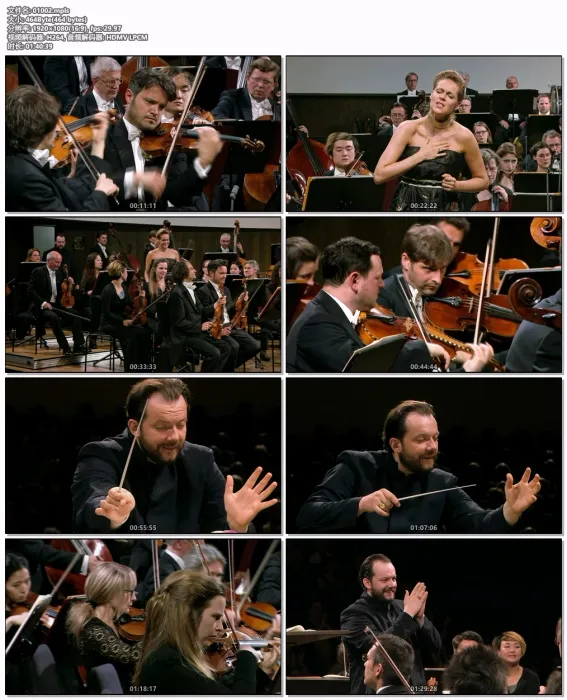 [BD欧美演唱会][安东宁·德沃夏克 Antonin Dvorak – From The New World 2018][BDMV][21.4GB][百度网盘]