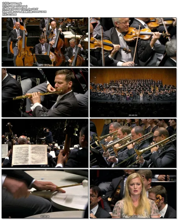 [BD欧美演唱会][安德里斯·尼尔森斯 Nelsons Conducts The Wiener Philharmoniker 2018][BDISO][20.2GB][百度网盘]