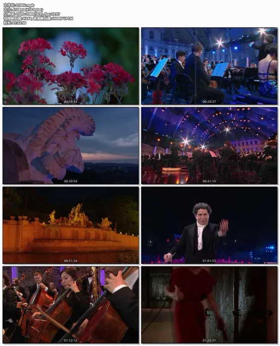 [BD欧美演唱会]2019年维也纳夏季音乐会 Sommernachtskonzert 2019  Summer Night Concert 2019[BDMV][21.2GB][百度网盘]