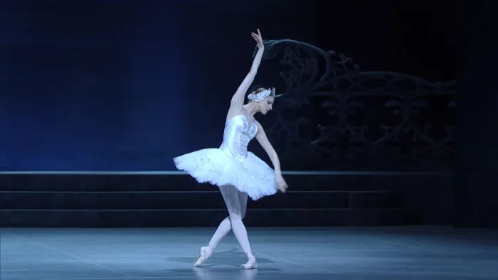[BD欧美演唱会]柴可夫斯基芭蕾舞剧天鹅湖 维也纳2014 Tchaikovsky Swan Lake Vienna 2014[BDMV][21.59GB][百度网盘]
