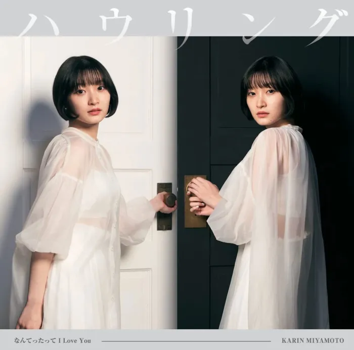 [DB日本演唱会][Miyamoto Karin なんてったって I Love Youハウリング [Limited Edition A, B] 2022][BDISO 2BD][11GB][百度网盘]