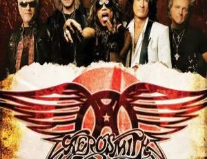 BD欧美演唱会：Aerosmith 2013年震撼之作 Rock For The Rising Sun  27.7G 百度网盘资源-小文资源网