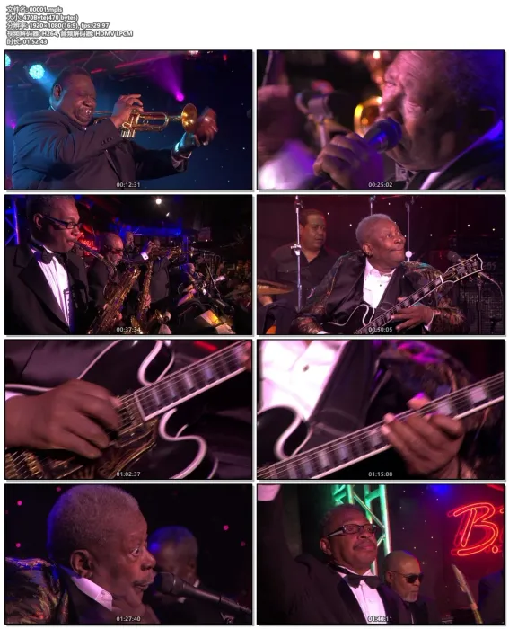 [BD欧美演唱会]B.B.King – Live 2008[BDMV][20.4G][百度网盘]