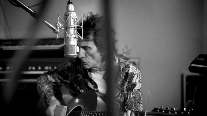 [BD欧美演唱会]Ronnie Wood – Somebody Up There Likes Me 2020[BDMV][31.3G][百度网盘]