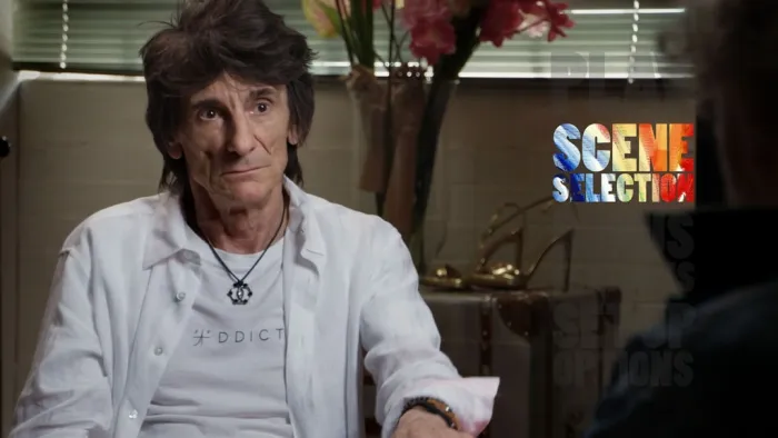 [BD欧美演唱会]Ronnie Wood – Somebody Up There Likes Me 2020[BDMV][31.3G][百度网盘]