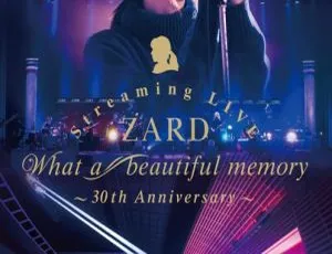 ZARD 2021日本30周年演唱会BDISO 2BD 55.9GB 百度网盘资源-小文资源网