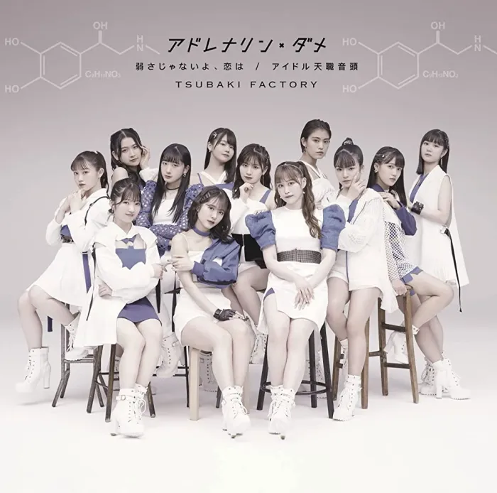 [BD日本演唱会][Tsubaki Factory – アドレナリン・ダメ／弱さじゃないよ、恋は／アイドル天职音头 2022][BDMV 3BD][21.5GB][百度网盘]