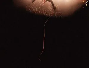 ONE OK ROCK 2014日本演唱会纪录片BD资源 32.7GB 百度网盘分享-小文资源网