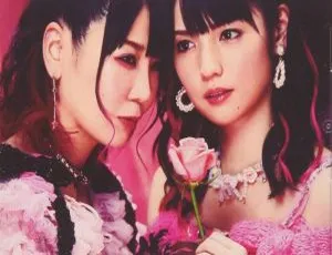 大森靖子《絶対彼女》feat. 道重さゆみ 2019 日本演唱会 BD 资源 36.7GB 百度网盘下载-小文资源网