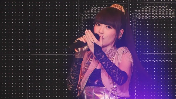 [BD日本演唱会][Animelo Summer Live – Animelo Summer Live 2015 -THE GATE- DAY1~3][BDMV 6BD][222GB][百度网盘]
