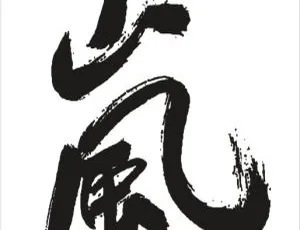 岚2020日本演唱会This is 嵐 LIVE 2021高清BDISO 2BD 63.8GB 百度网盘资源-小文资源网