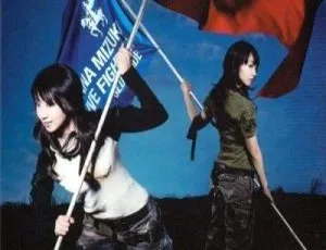 水树奈奈2008日本演唱会BDISO 2BD 91.8GB 百度网盘资源：Live Fighter Blue x Red Side-小文资源网