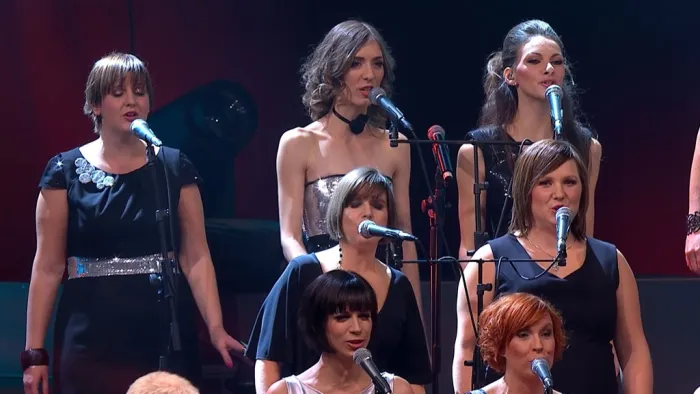 [BD欧美演唱会]Perpetuum Jazzile – The Show, Live in Arena 2014[BDMV][19.8G][百度网盘]