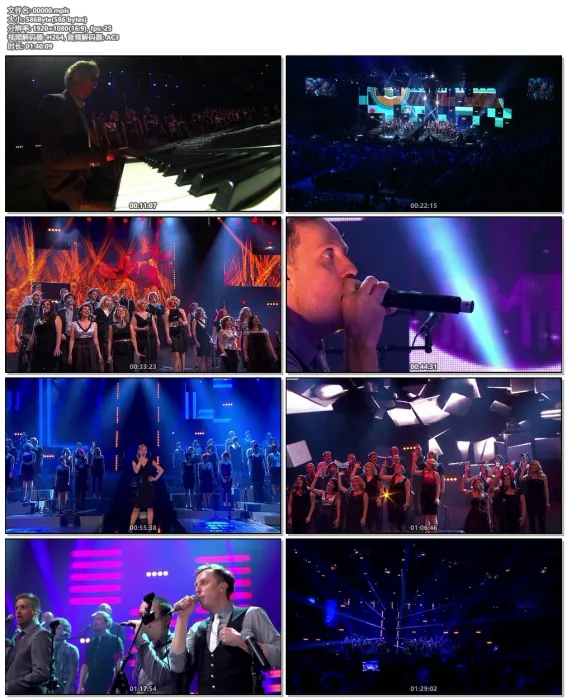 [BD欧美演唱会]Perpetuum Jazzile – The Show, Live in Arena 2014[BDMV][19.8G][百度网盘]