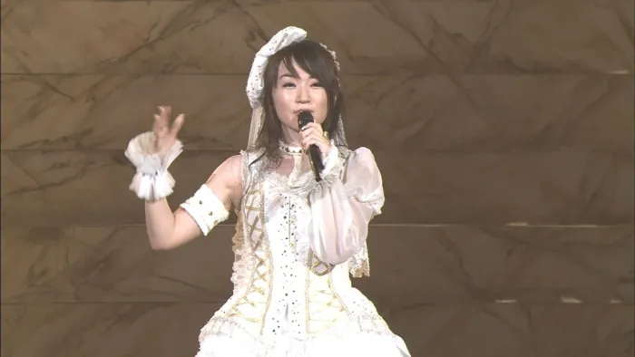 [BD日本演唱会][水树奈奈2011-NANA MIZUKI LIVE CASTLE×JOURNEY-QUEEN][BD ISO双碟][91.1G][百度网盘]