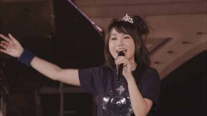 [BD日本演唱会][水树奈奈2011-NANA MIZUKI LIVE CASTLE×JOURNEY-QUEEN][BD ISO双碟][91.1G][百度网盘]