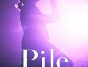 Pile 2017 武道馆 BD 日本演唱会 BDMV 44.14 百度网盘资源-小文资源网