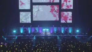 [BD日本演唱会][Pile 2017 武道馆演唱会][BDMV][44.14][百度网盘]