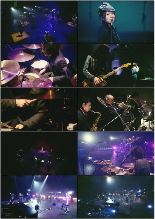 [BD日本演唱会][椎名林檎 阴翳礼讃 2016][BDMV][12.1G][百度网盘]