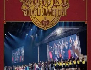 Animelo Summer Live 2019 STORY 2013日本演唱会BDMV六碟246G 百度网盘资源-小文资源网