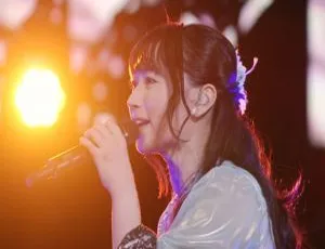 水树奈奈2019日本演唱会BDMV三碟126G 百度网盘资源-小文资源网