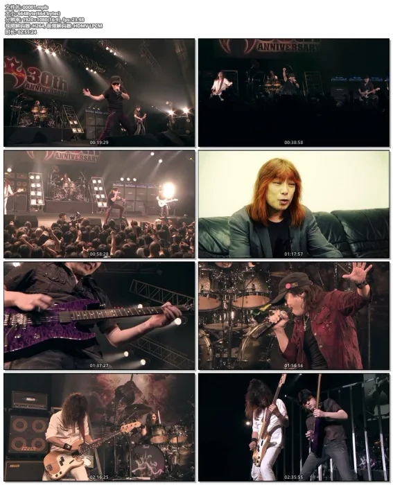 [BD日本演唱会][Anthem – 30+ 30th Anniversary Tour 2015 Final Live][BDMV][45.6G][百度网盘]