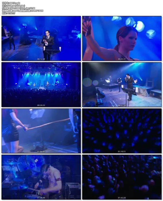 [BD欧美演唱会][BlutEngel – Once In A Lifetime 2012][2013][BDMV][36.7G][百度网盘]