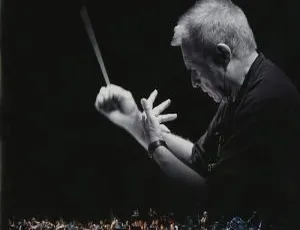 BD 珍藏！2009 年 Dave Grusin 欧美演唱会 16.8G 百度网盘资源-小文资源网