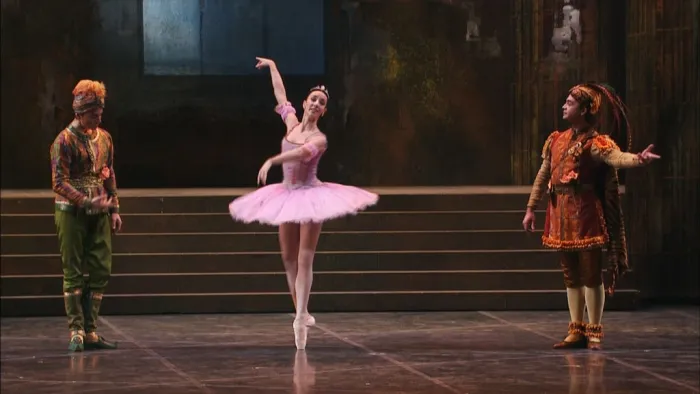 [BD欧美演唱会][柴可夫斯基芭蕾舞 Tchaikovsky Gala 2007 – Teatro alla Scala, David Coleman][BDMV][20.8G][百度网盘]