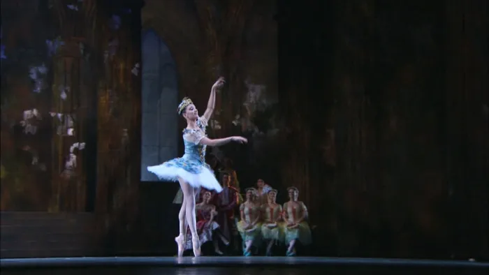 [BD欧美演唱会][柴可夫斯基芭蕾舞 Tchaikovsky Gala 2007 – Teatro alla Scala, David Coleman][BDMV][20.8G][百度网盘]