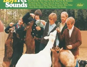必看！沙滩男孩乐队音乐纪录片《The Beach Boys – Pet Sounds 2016》BD 欧美演唱会资源 20.5G 百度网盘分享-小文资源网