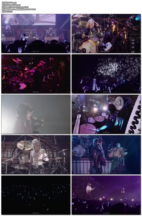 [BD日本演唱会][和乐器乐队2017日本东京体育馆演唱会 Wagakki Band Daishinnenkai 2017 Tokyo][ISO 2BD][61G][百度网盘]