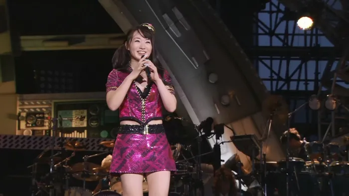 [BD日本演唱会][水树奈奈 Nana Mizuki LIVE FLIGHT×FLIGHT+横滨场+新加坡场演唱会2015][BDMV 4BD][152G][百度网盘]