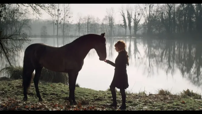 [BD欧美演唱会][玛莲·法莫 Mylene Farmer – Les Clips L-intégrale 1999-2020][2021][BDMV][38.4G][百度网盘]