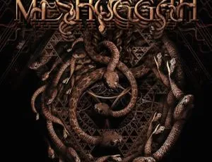 Meshuggah 2014年The Ophidian Trek欧美演唱会BD资源 20.2G 百度网盘下载-小文资源网