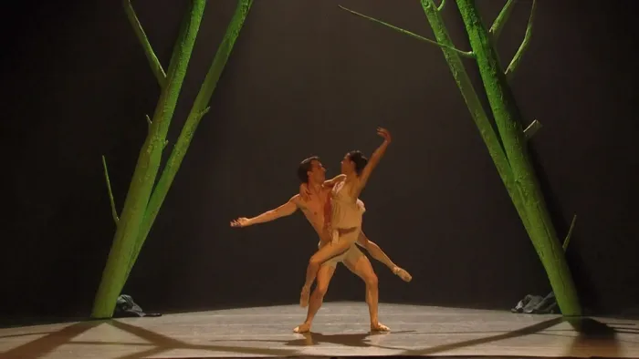 [BD欧美演唱会][1984 a ballet by Jonathan Watkins 2016 1080i Blu-ray AVC DTS-HD MA 5.1][BDMV][18.3GB][百度网盘]