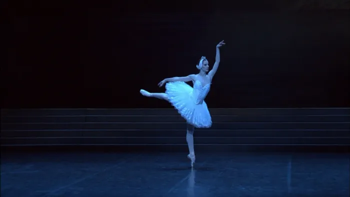 [BD欧美演唱会][Tchaikovsky- Swan Lake – Paris Opera Ballet 2005 Чайковский П.И. – Лебединое озеро][Paris Opera Ballet]2005[BDNV][38.4G][百度网盘]