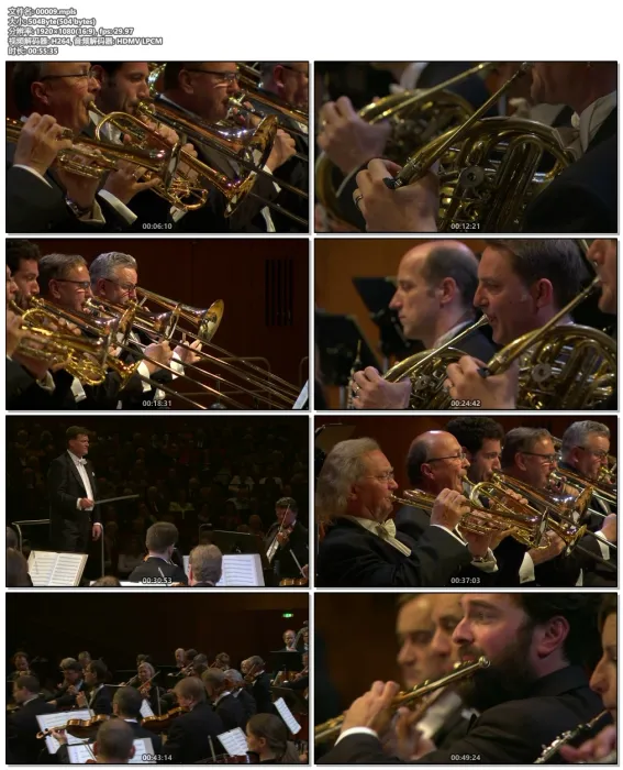 [BD欧美演唱会][Bruckner Symphonies Nos. 1-9. Staatskapelle Dresden, Christian Thielemann 2021][BDMV 9BD][176G][百度网盘]
