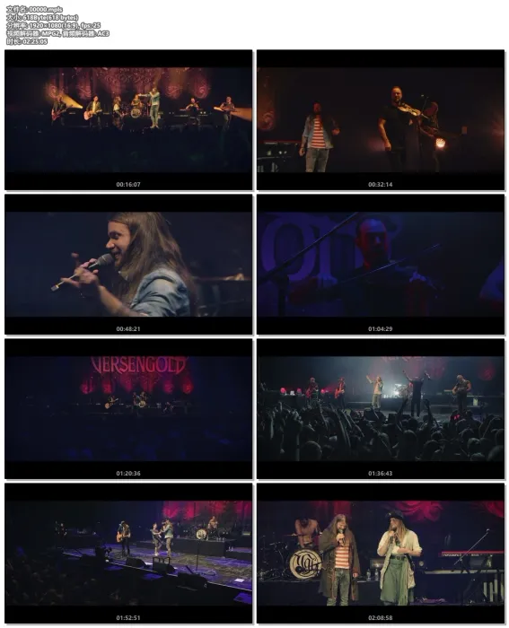 [BD欧美演唱会][Versengold – Nordlicht – 15 Jahre Versengold – Live in Hamburg 2019][BDMV][26.9G][百度网盘]