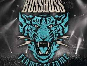 The BossHoss柏林2013火焰成名现场BD欧美演唱会 35G 百度网盘资源-小文资源网
