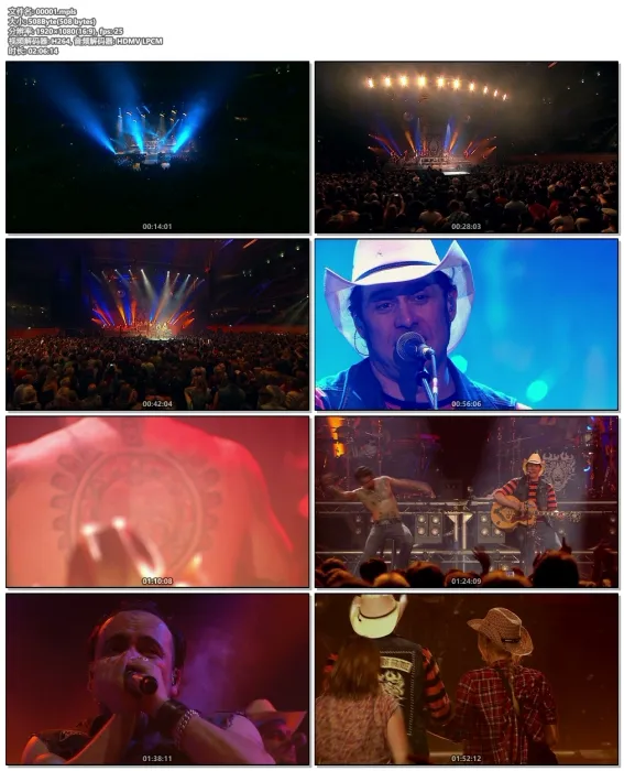 [BD欧美演唱会][The BossHoss – Flames Of Fame Live Over Berlin 2013][BDMV][35G][百度网盘]