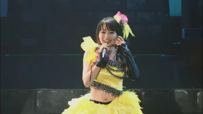 [BD日本演唱会][水树奈奈 Nana Mizuki Live Games x Academy -Red 2010游戏学院演唱会][BDMV 2BD][89.7G][百度网盘]