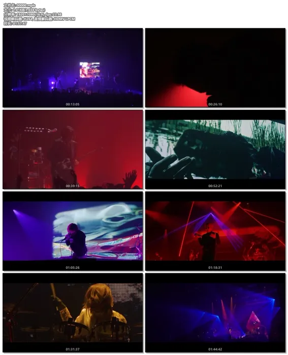 [BD日本演唱会][Dir En Grey – Ochita Koto no Aru Sora 2020][BDMV][21.6G][百度网盘]