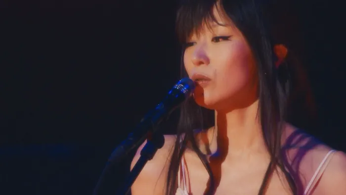 [BD日本演唱会][苹果女王出道20周年纪念全国巡回演唱会.椎名林檎 – (生)林檎博 18-不惑の余裕][ISO][35.2G][百度网盘]