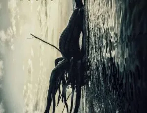 Dir en grey 2014 专辑蓝光碟：ARCHE 特别限量版日本演唱会，14.4G 百度网盘资源-小文资源网