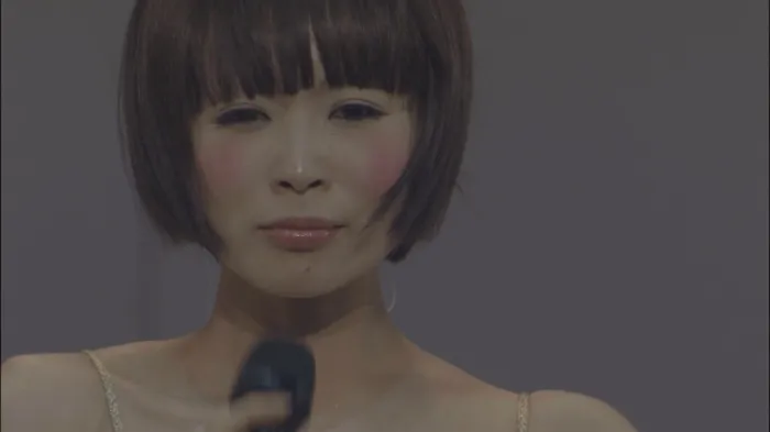 [BD日本演唱会][椎名林檎 Sheena Ringo LiVE Blu-ray BOX 十五周年记念蓝光合集][BDMV 8BD][190G][百度网盘]
