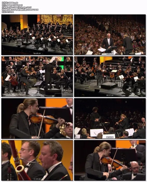 [BD欧美演唱会][大卫·加勒特 David Garrett – Legacy – Live in Baden Baden 2011 Blu-ray1080i AVC DTS-HD MA 5.1][BDMV][40.1GB][百度网盘]